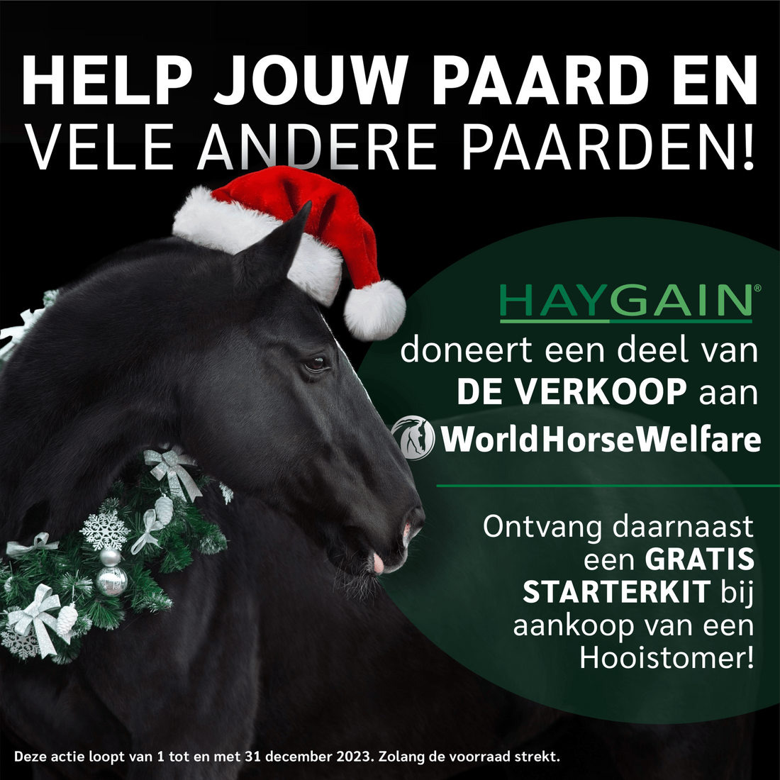 Haygain steunt World Horse Welfare de hele maand december. - Haygain Netherlands