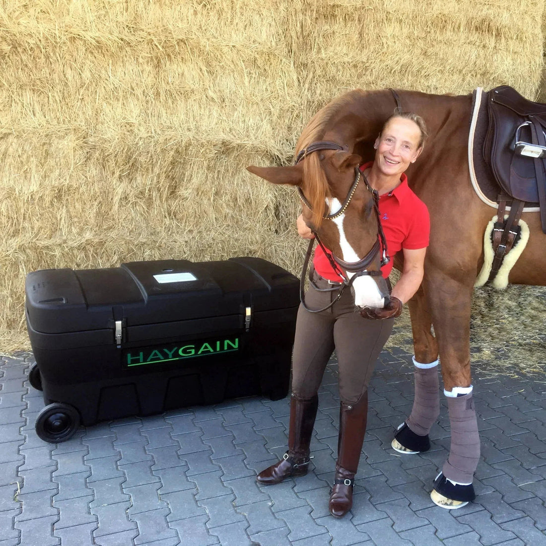 Isabell Werth rekent op Haygain voor vrij ademende paarden - Haygain Netherlands